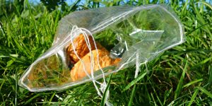 Biodegradable bag