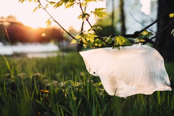 biodegradable vs compostable and recyclable plastic bags