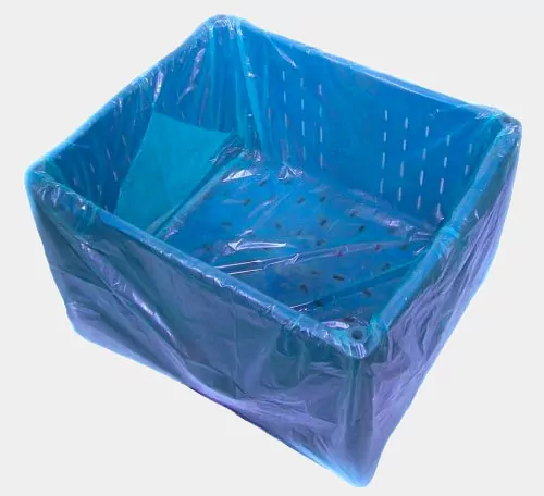 blue dolav liner in a Dolav box