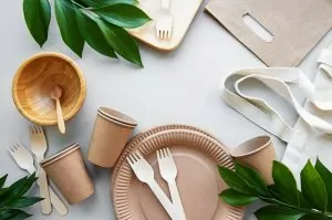 biodegradable vs compostable packaging